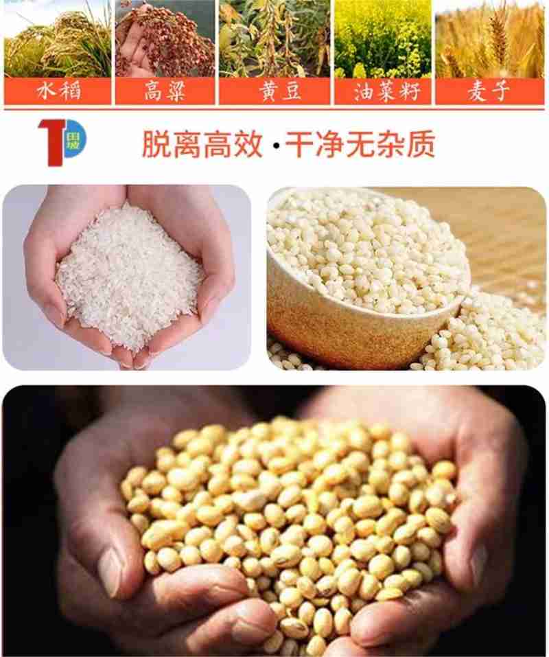 杨明发和黄永波核对村级发展规划。 洪玉杰 摄